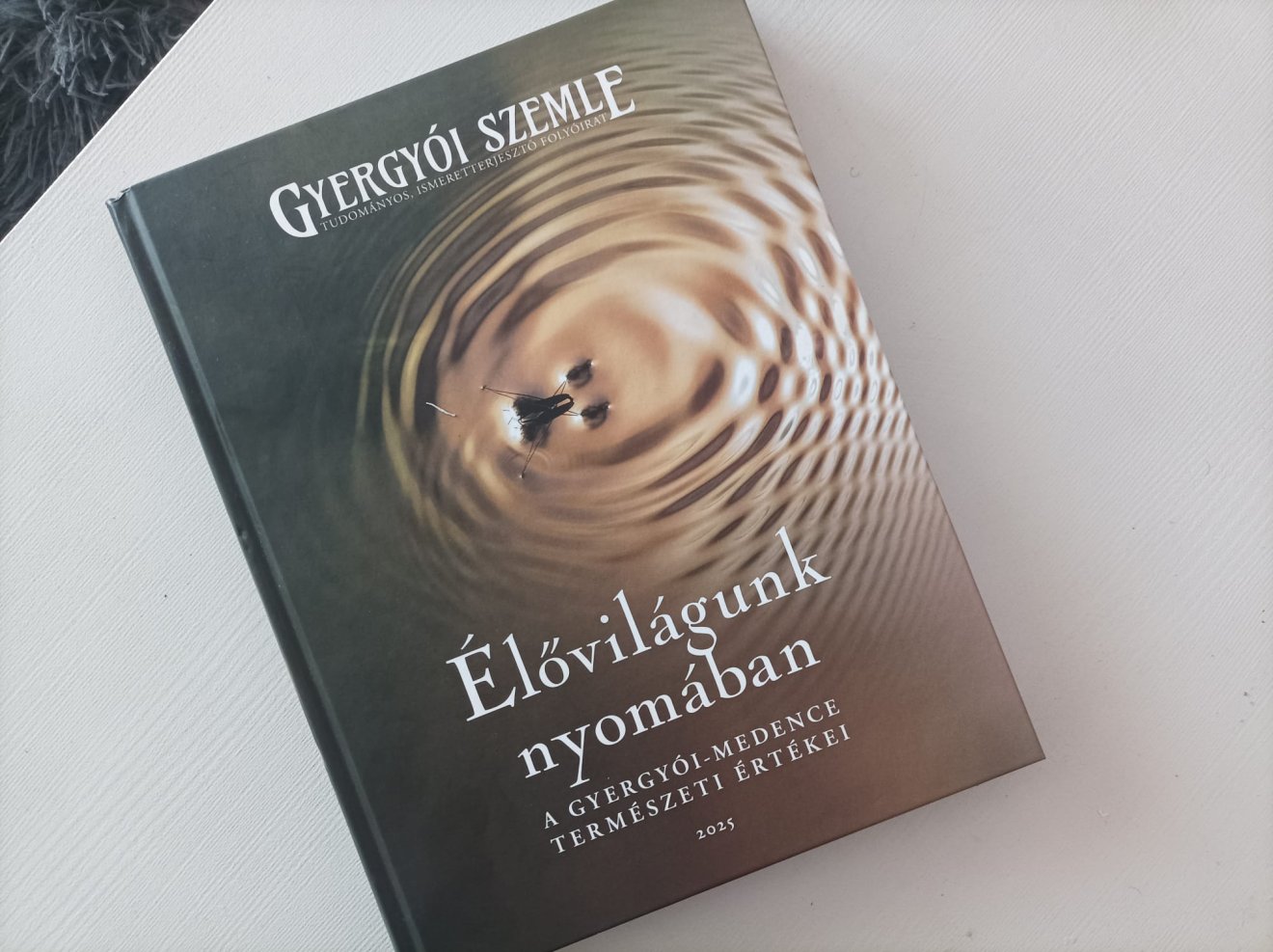 •  Fotó: Gergely Imre