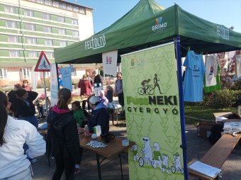 Közel negyedmillió lej gyűlt össze az idei Fuss Neki! gyergyói kiadásán