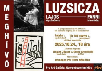 Luzsicza Lajos és Luzsicza Fanni alkotásait állítják ki Gyergyószentmiklóson
