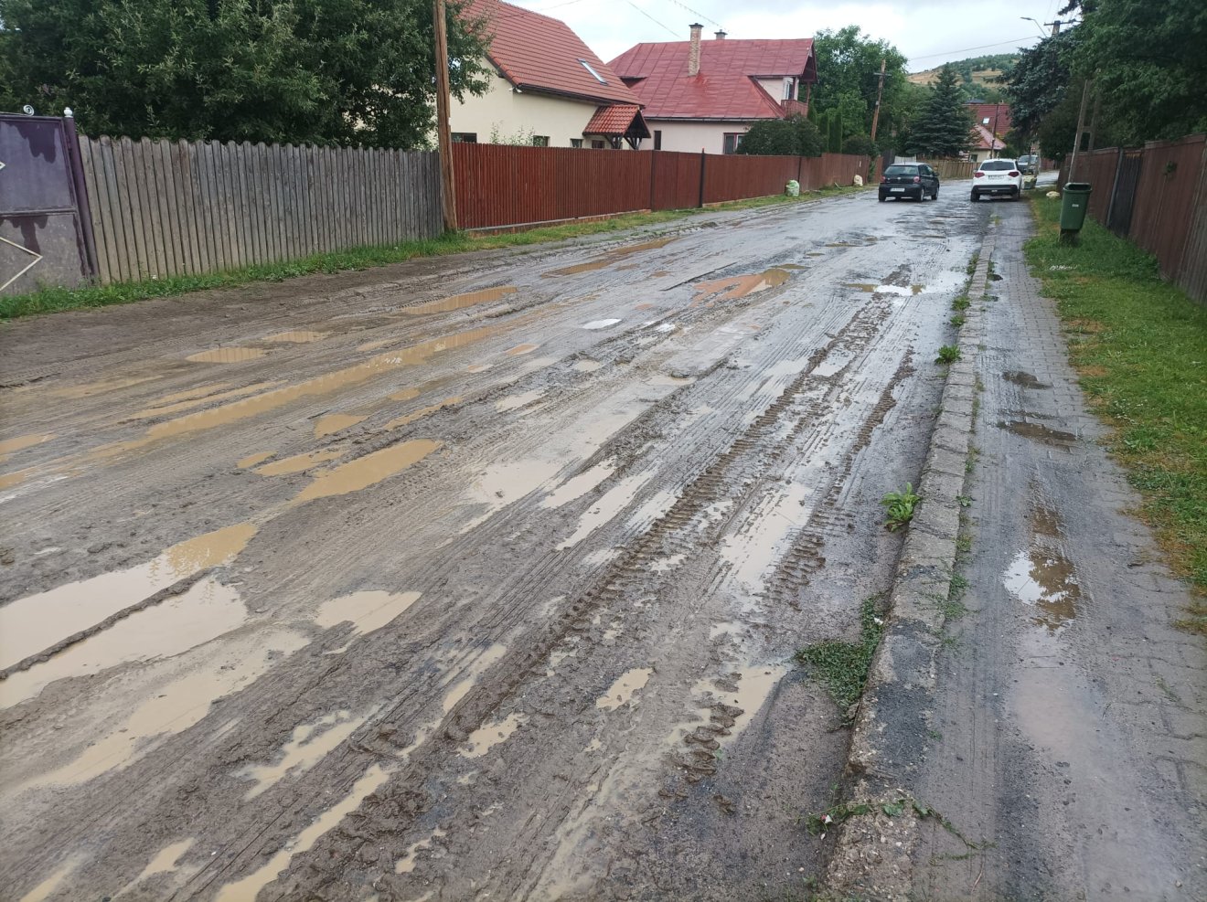 •  Fotó: Gergely Imre