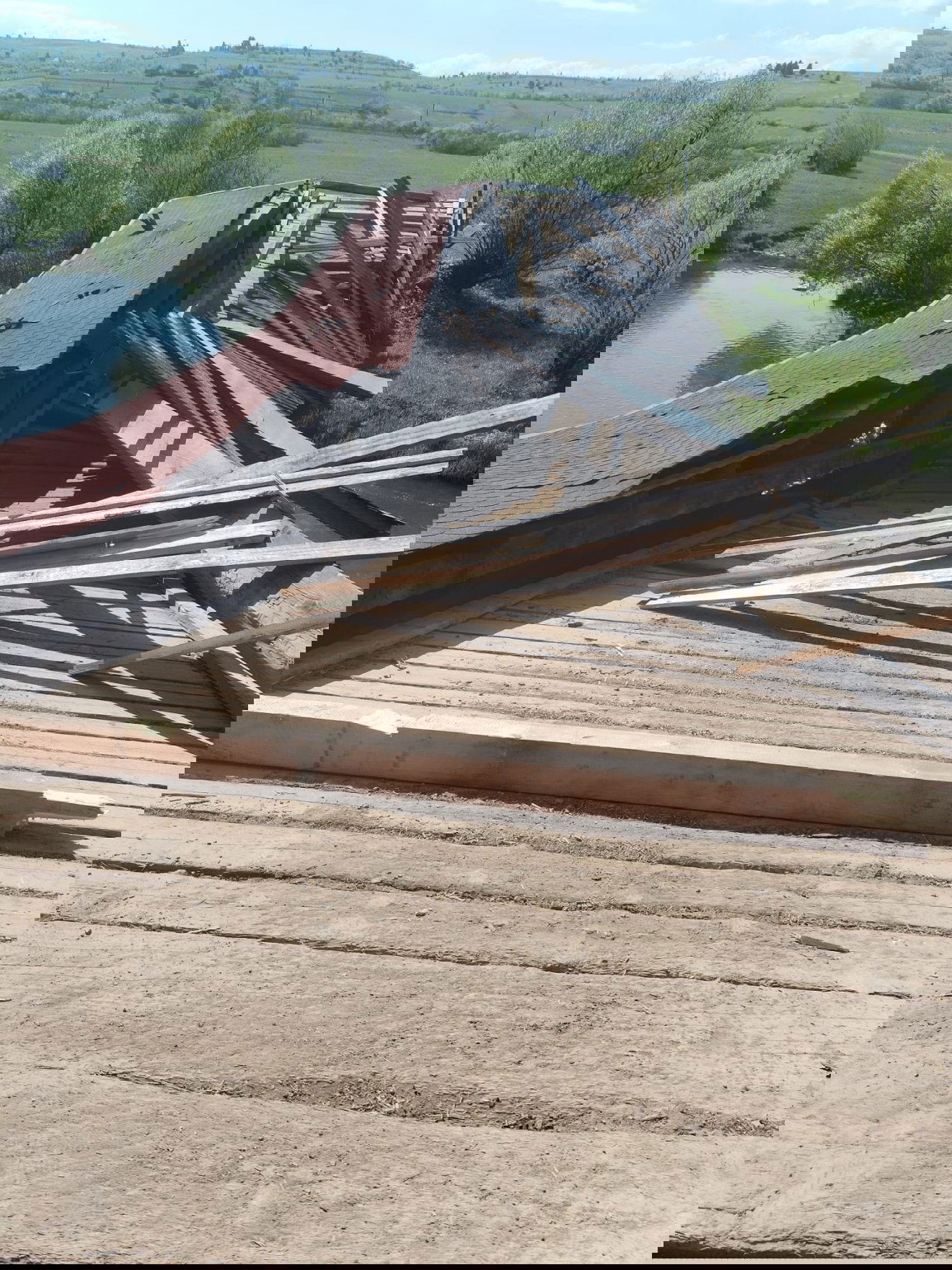 •  Fotó: Bodor Attila