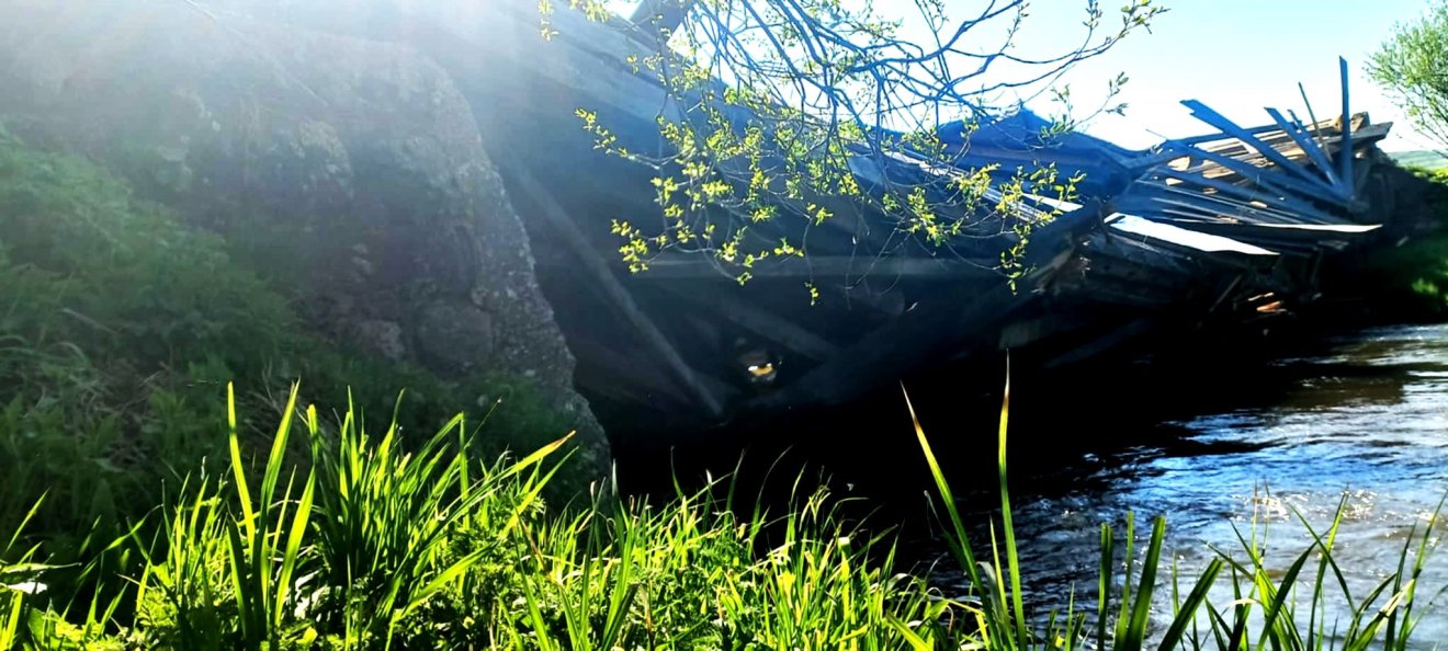 •  Fotó: Bodor Attila