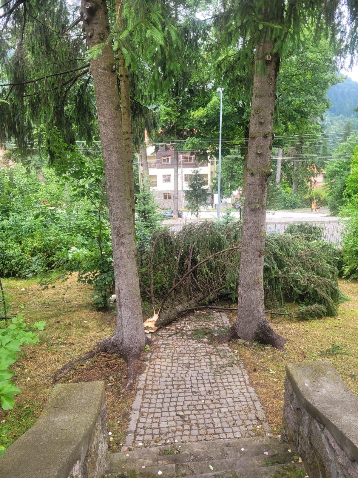 •  Fotó: Butyka Zsolt