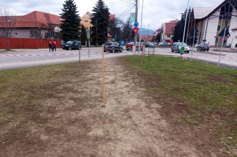 Zöldövezetet alakítottak ki, ám ezt nem becsülték meg a lakók