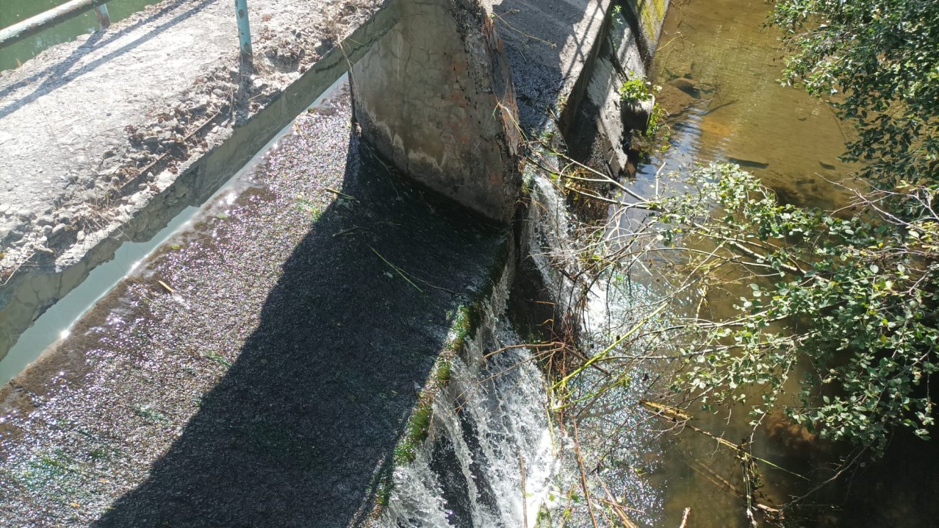 A szolgáltató nem használhatja fel a Békény teljes vizét, egy jelentős részét át kell engedni a gáton, hogy a természet se szenvedjen hiányt &bullet;  Fotó: Gergely Imre