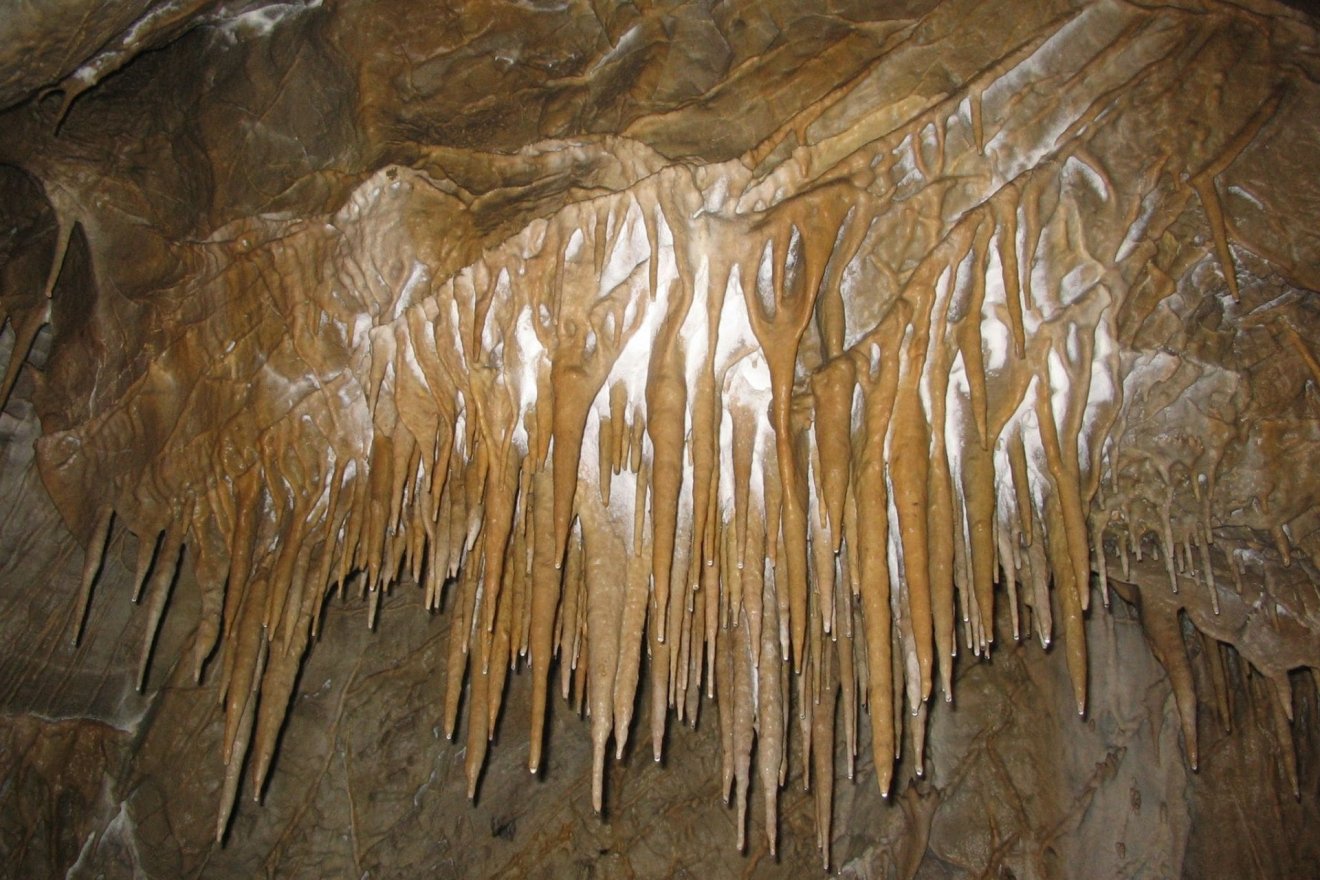 &bullet;  Fotó: Forrás: sugocave.ro