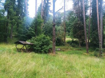 Székelyföld legnagyobb arborétumát újítják fel a gyergyószentmiklósiak