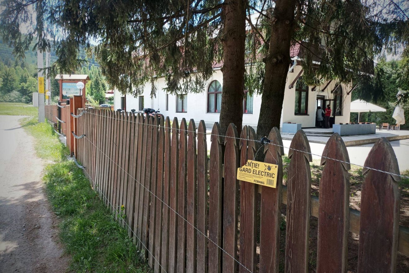 „Tucatjával jöttek az autók, mindenki medvét akart látni”