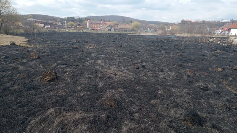 Ég a növényzet Szászrégen közelében – lakóövezetet fenyegetnek a lángok