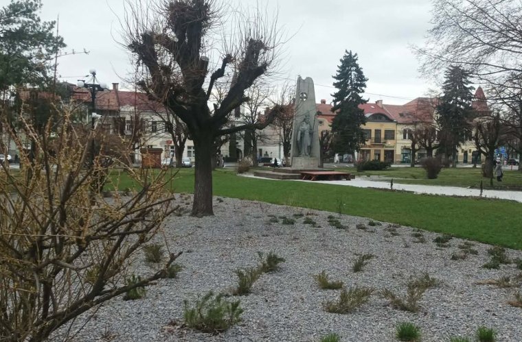 Sövények helyett virágágyások: megújulnak a gyergyószentmiklósi zöldfelületek