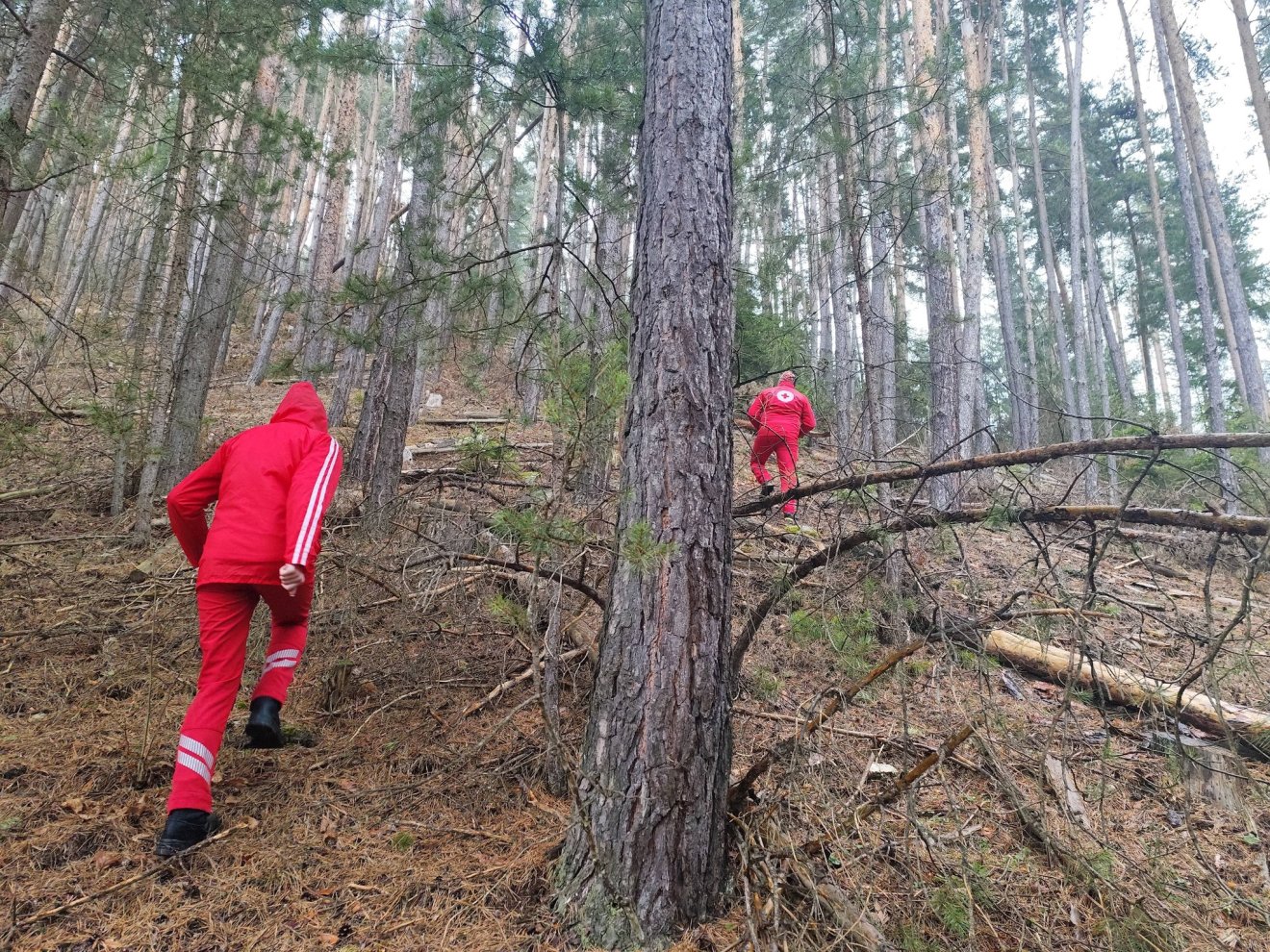 &bullet;  Fotó: Gyergyószentmiklósi Vöröskereszt