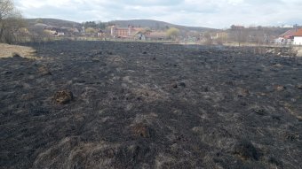 Ég a növényzet Szászrégen közelében – lakóövezetet fenyegetnek a lángok