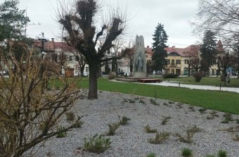 Sövények helyett virágágyások: megújulnak a gyergyószentmiklósi zöldfelületek