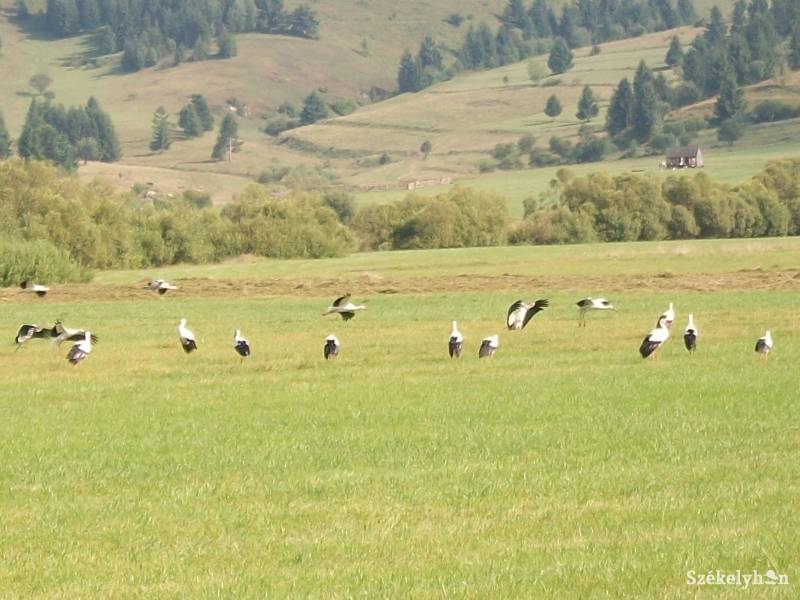 •  Fotó: Csibi Márti