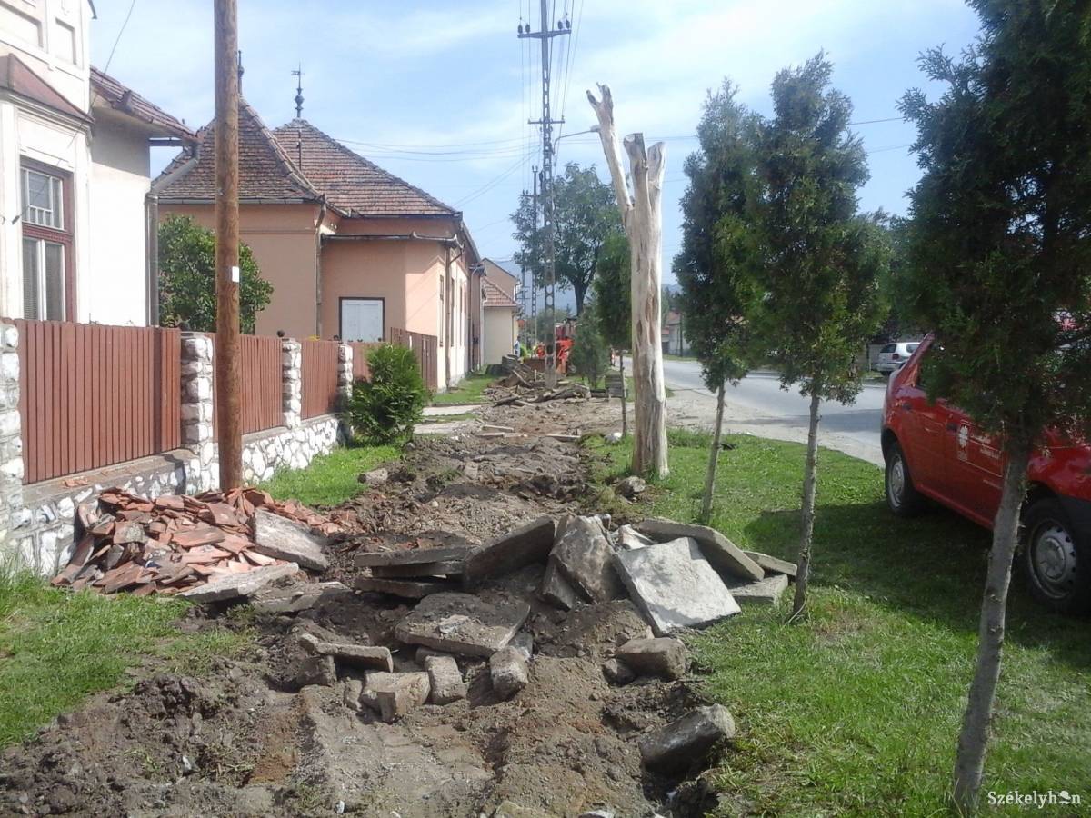 •  Fotó: Baricz Tamás Imola