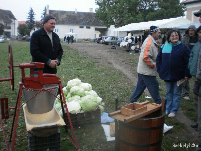 •  Fotó: Pethő Melánia