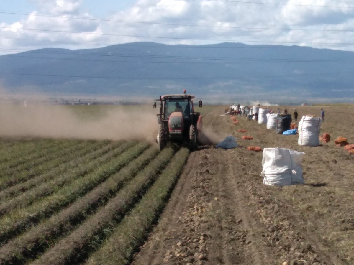 •  Fotó: Barabás Orsolya