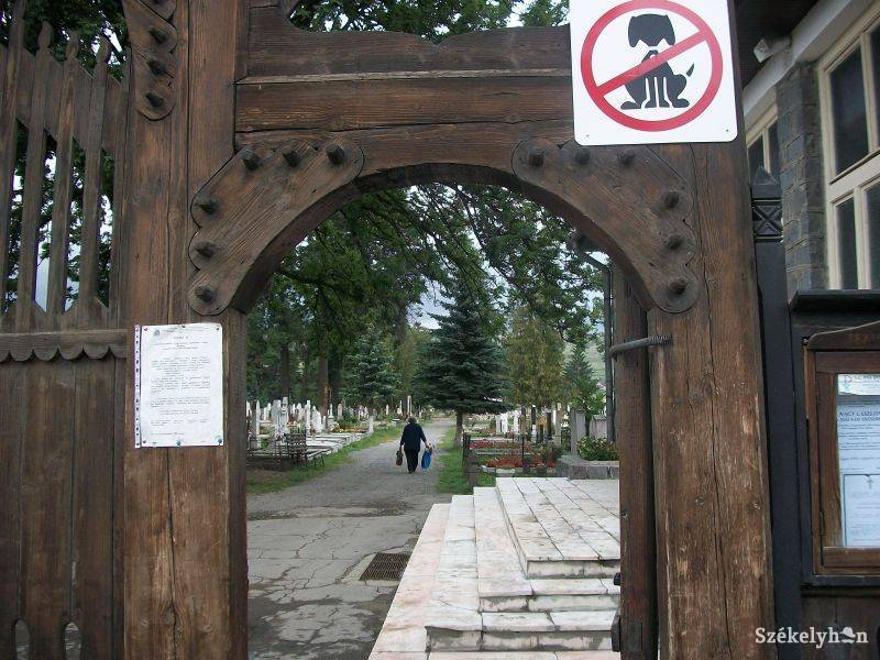 •  Fotó: Csibi Márti