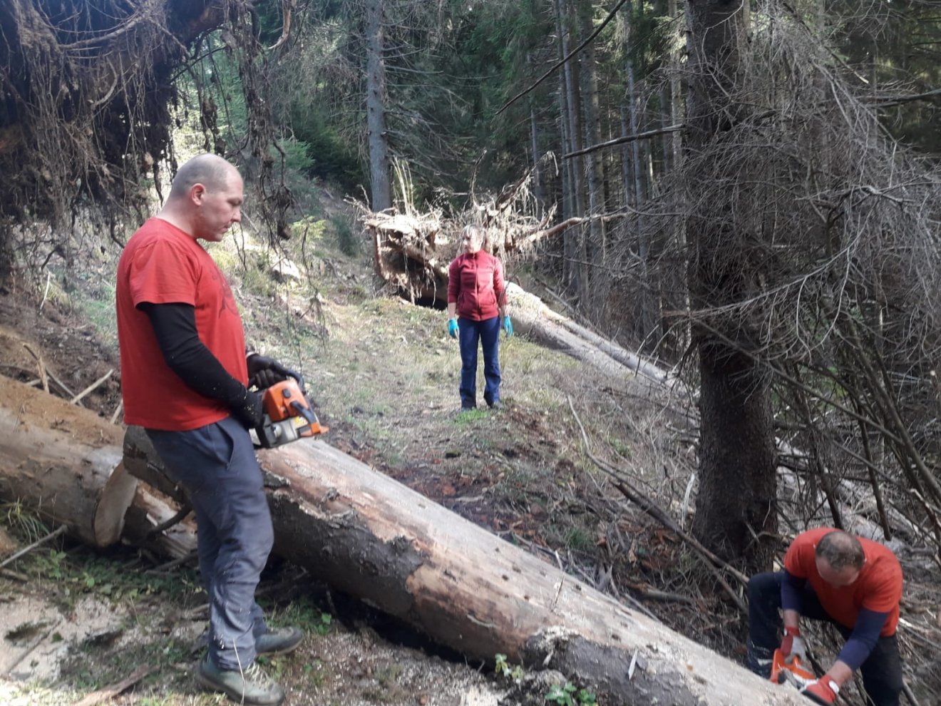 A Gyilkostó Adventure Egyesület vasárnap is várja az önkénteseket. Az egykori iparvasút megtisztításán dolgoznak •  Fotó: Simon László