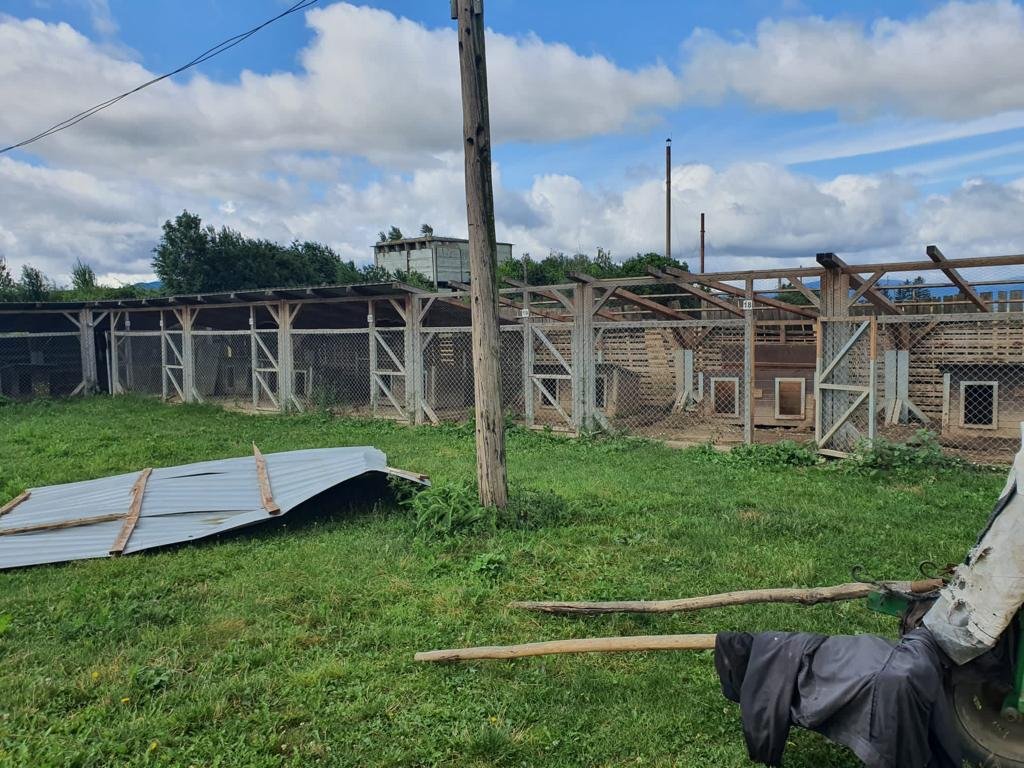 A városi kutyamenhelyen is károkat okozott a vihar, ezeket most lesz amiből kijavítani •  Fotó: Gergely Imre