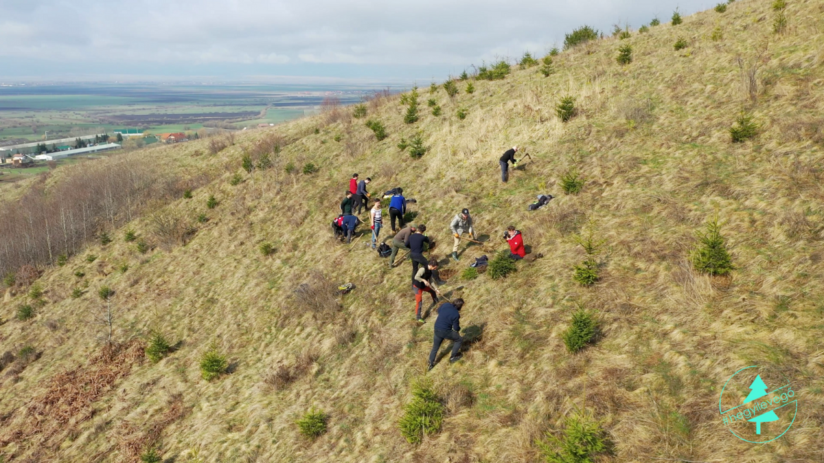 &bullet;  Fotó: Bagossy Brothers Company