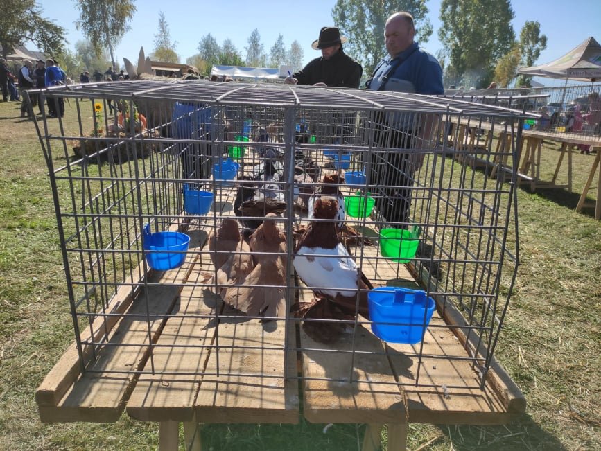 &bullet;  Fotó: Barabás Orsolya