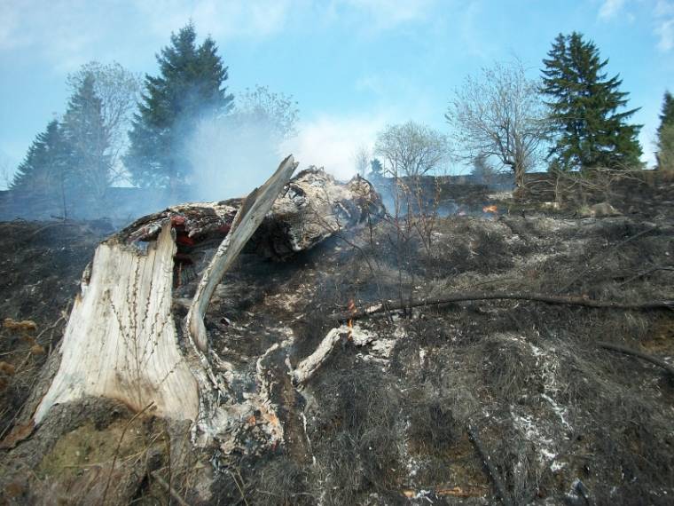 Az erdő is égett Potyand közelében