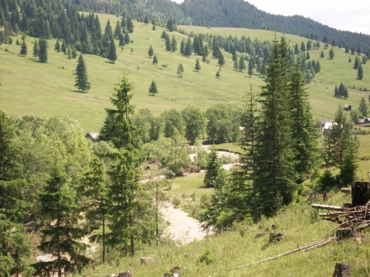 Hargita megyébe vágyó moldvaiak