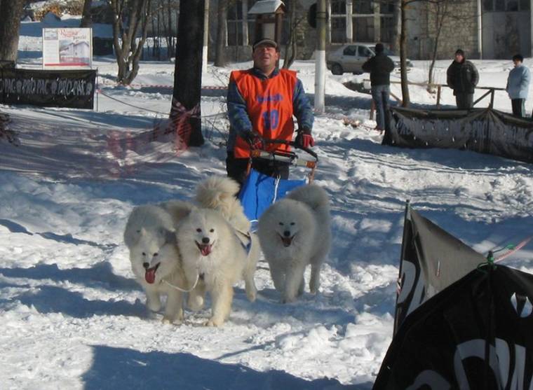 Északi kutyafajták és hazai hajtók taposták a havat Borszéken
