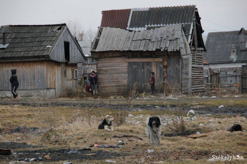 Megosztott a cigány közösség, a téglagyári telepen is léteznek egymás közti konfliktusok. Archív 