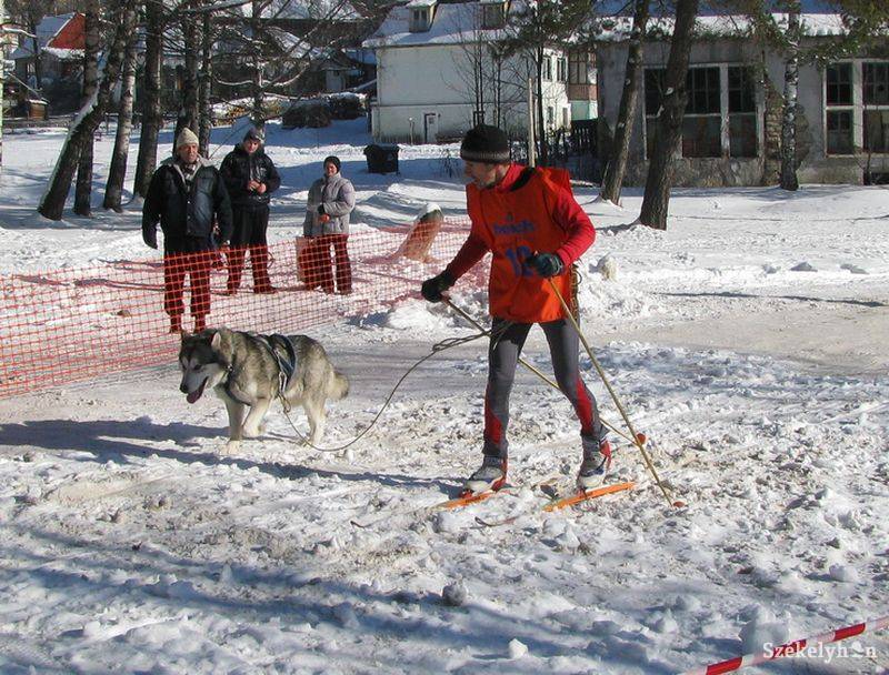 •  Fotó: Gergely Imre