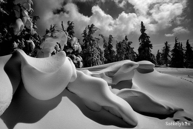 •  Fotó: Gergely Imre