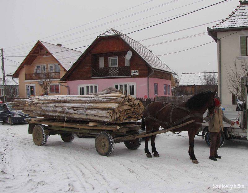 •  Fotó: Gergely Imre