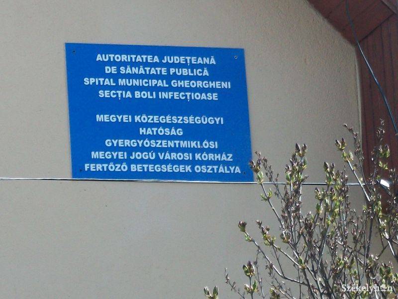 •  Fotó: Pethő Melánia