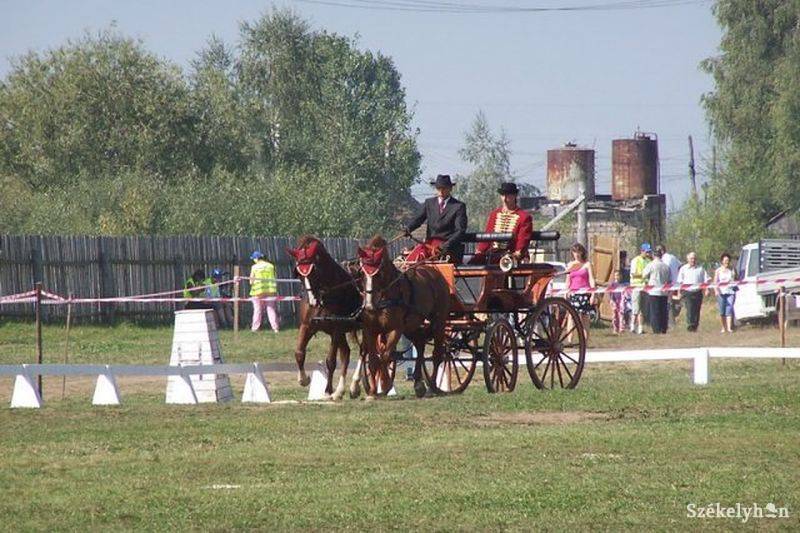 •  Fotó: Gergely Imre