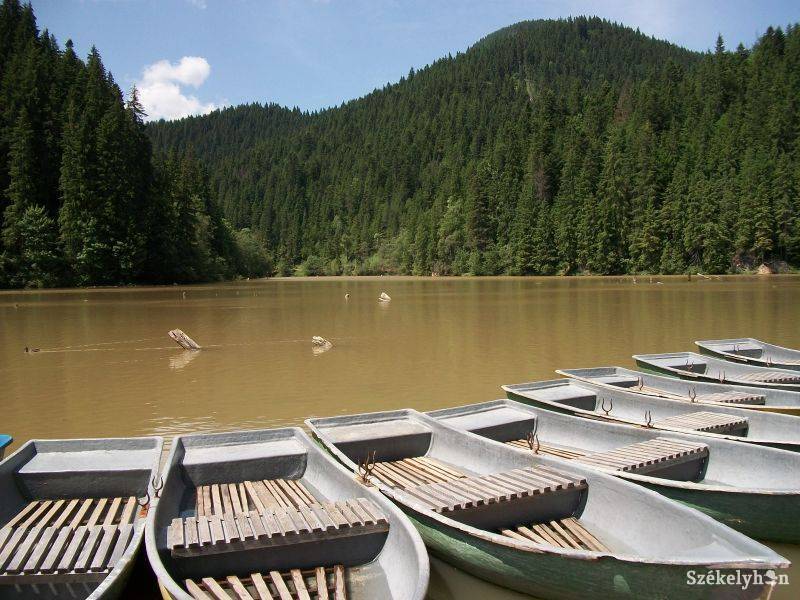 •  Fotó: Gergely Imre