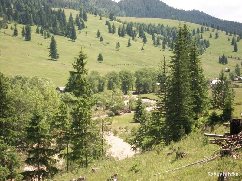•  Fotó: Csibi Márti