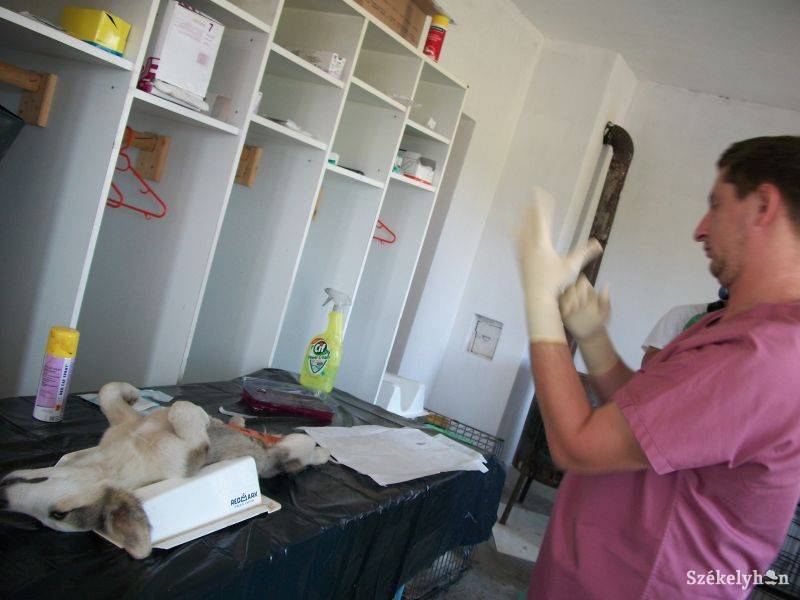 •  Fotó: Csibi Márti