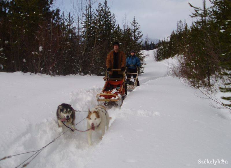 •  Fotó: Gergely Imre