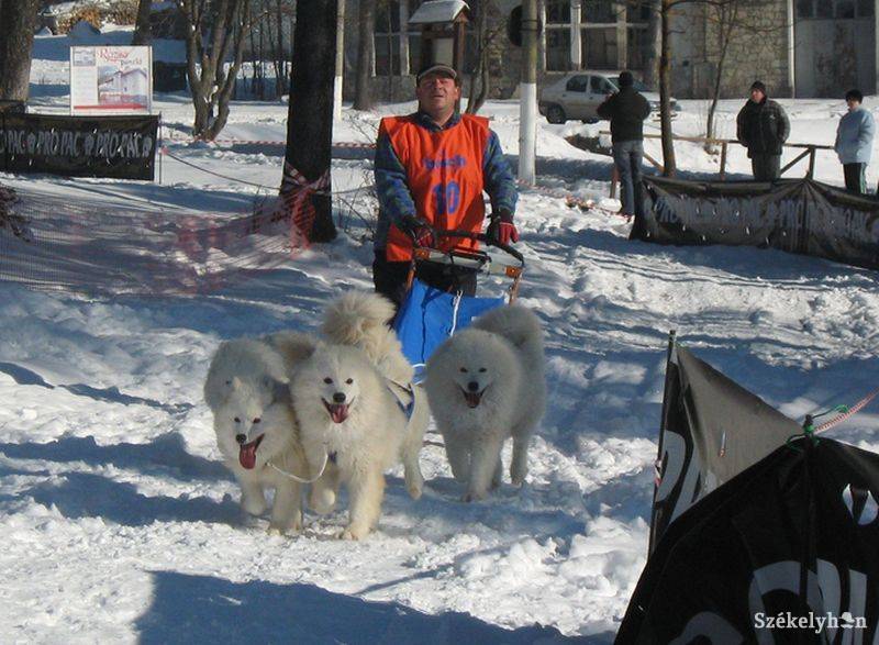 •  Fotó: Gergely Imre