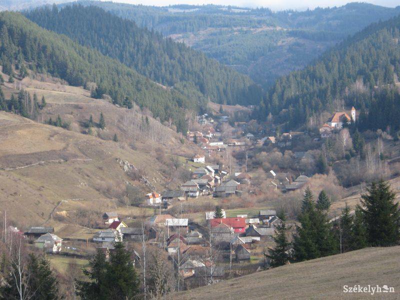 •  Fotó: Gergely Imre