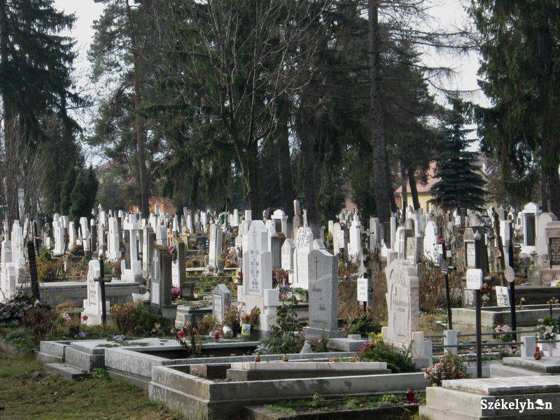 •  Fotó: Gergely Imre