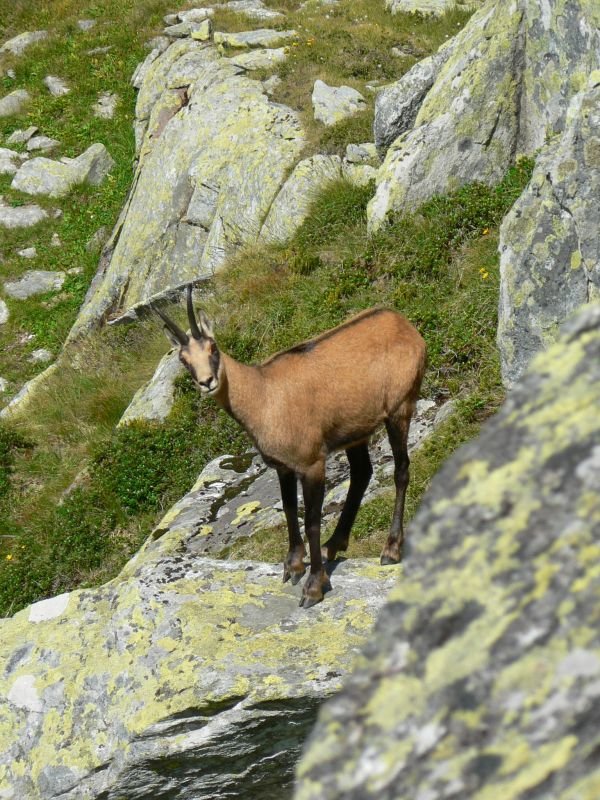 •  Fotó: Dezső László