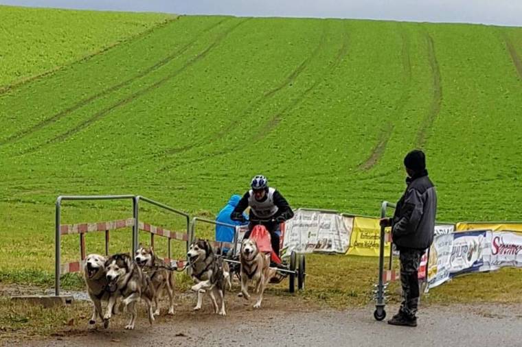 Ismét aranyérmes a kutyafogathajtó óradnai katolikus pap