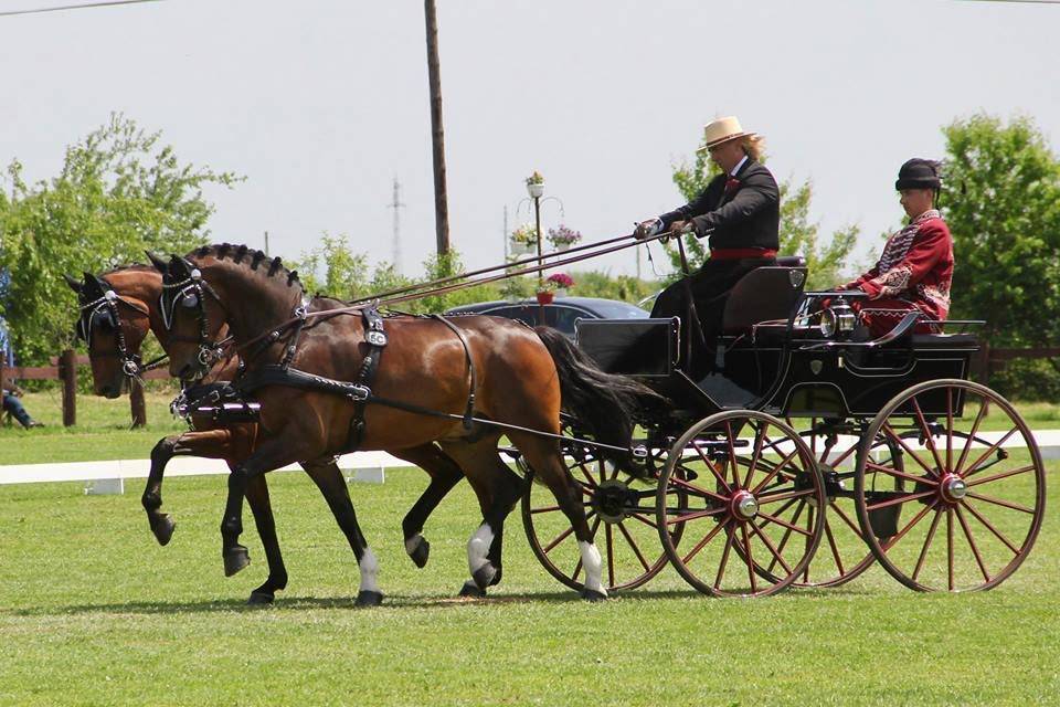 A nyolcszoros világbajnok Lázár Zoltán nyert Cséffán is •  Fotó: Facebook