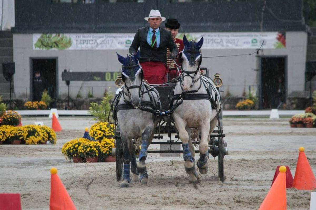 &bullet;  Fotó: Hipogriff Egyesület/Horváth Krisztina