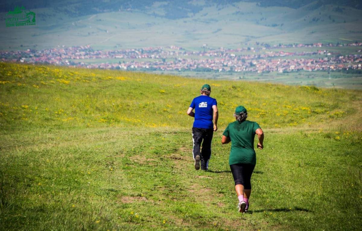 Képünk illusztráció • Fotó: Kolozsi Borsos Gábor