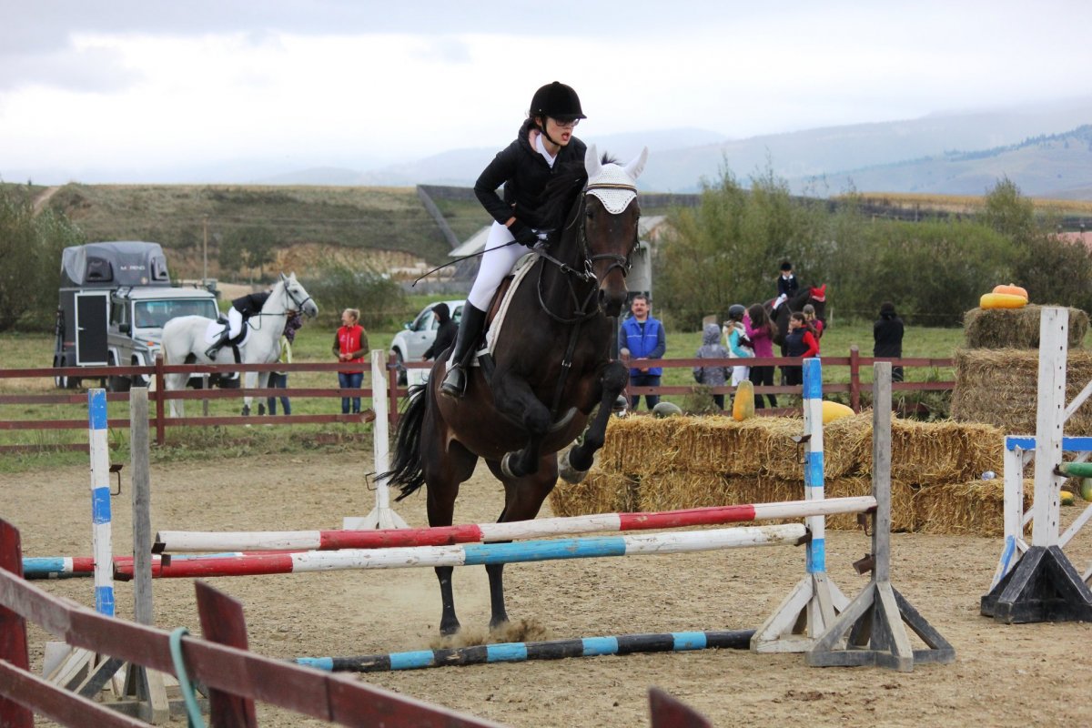 &bullet;  Fotó: Facebook/Remetei Lovas Klub