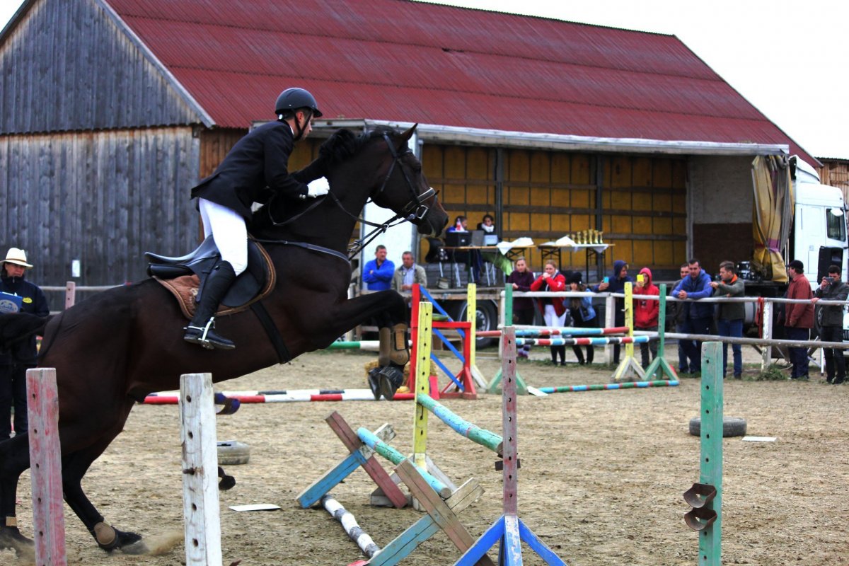 &bullet;  Fotó: Facebook/Remetei Lovas Klub