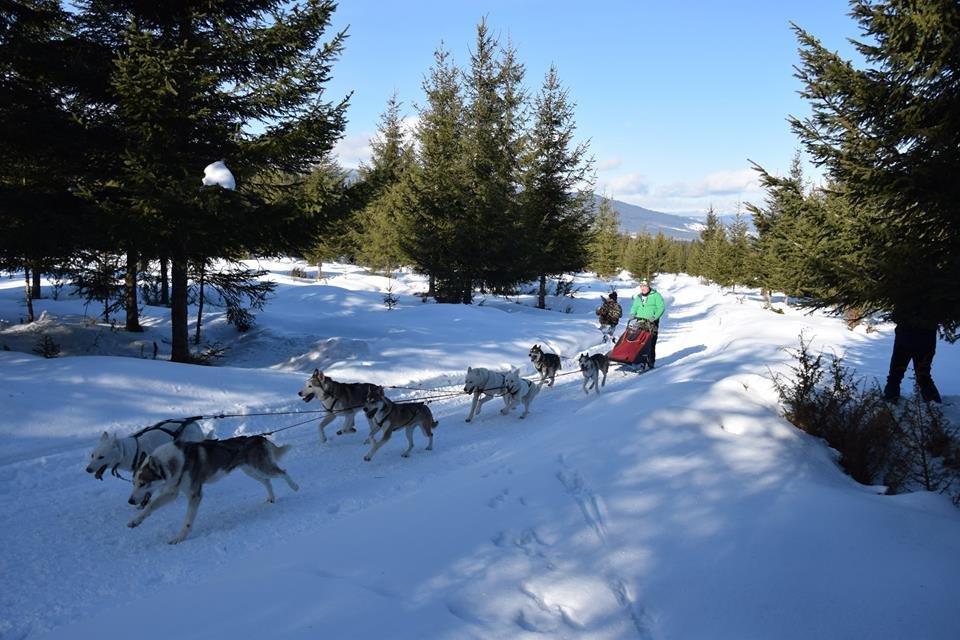 &bullet;  Fotó: Farkas Loránd